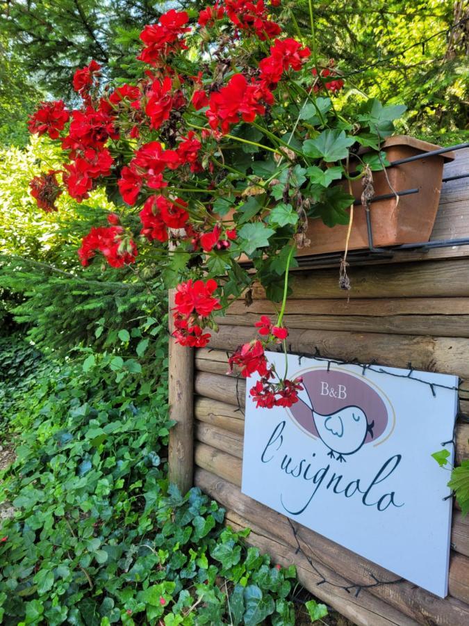 B&B L'Usignolo Ascoli Piceno Bagian luar foto